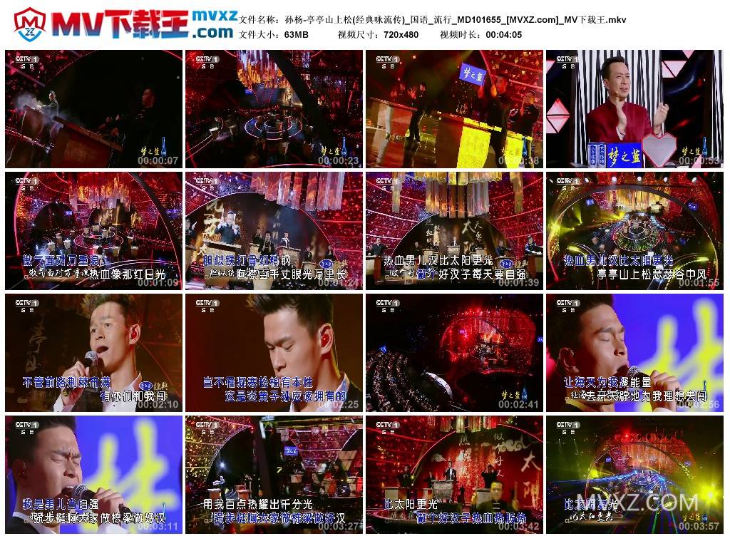 孙杨-亭亭山上松(经典咏流传)_国语_流行_MD101655